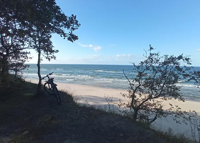 El Jan - Zadzwon! * 波别罗沃