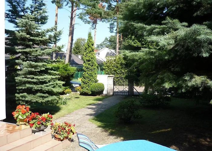 El Jan - Zadzwon! * 波别罗沃